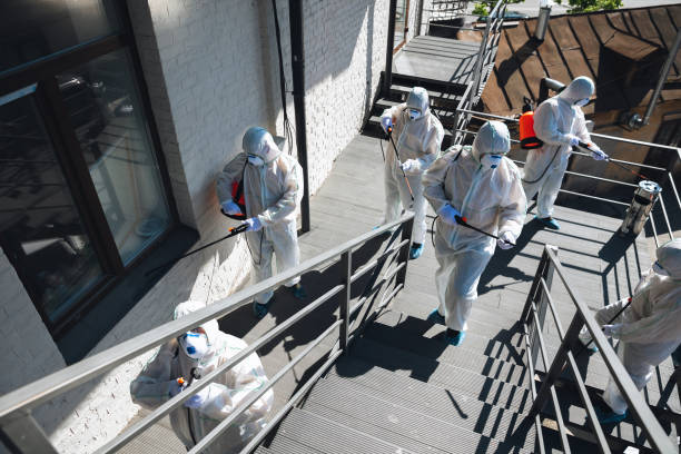 Best Residential Mold Inspection & Testing  in Olathe, CO