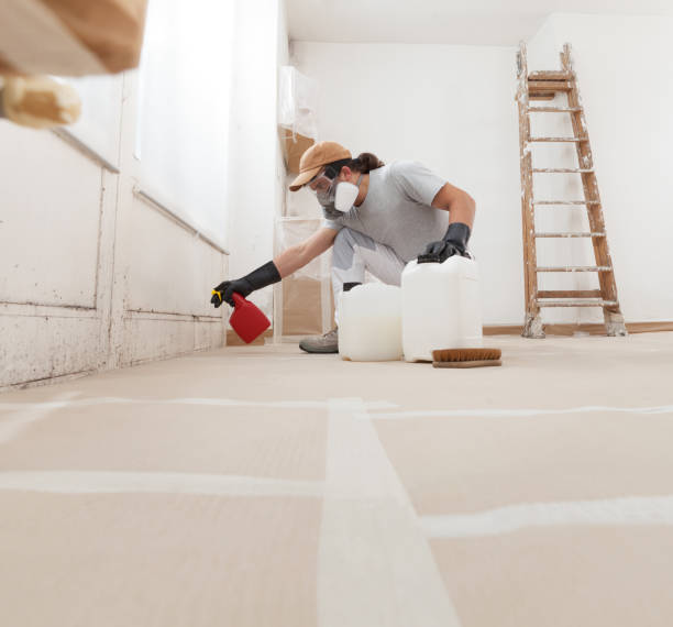 Best Environmental Consulting for Mold Prevention  in Olathe, CO